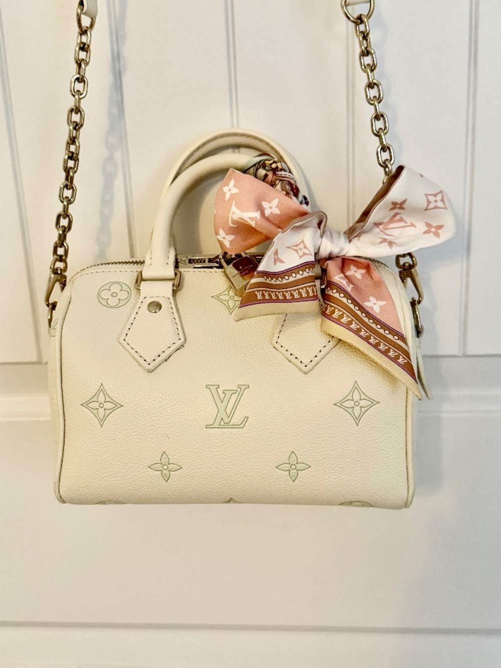Authentic Louis Vuitton Speedy 20 (Cowhide Leather)